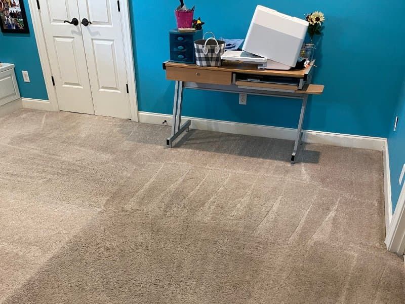 Allergy relief carpet cleaning service in a Wilmington home