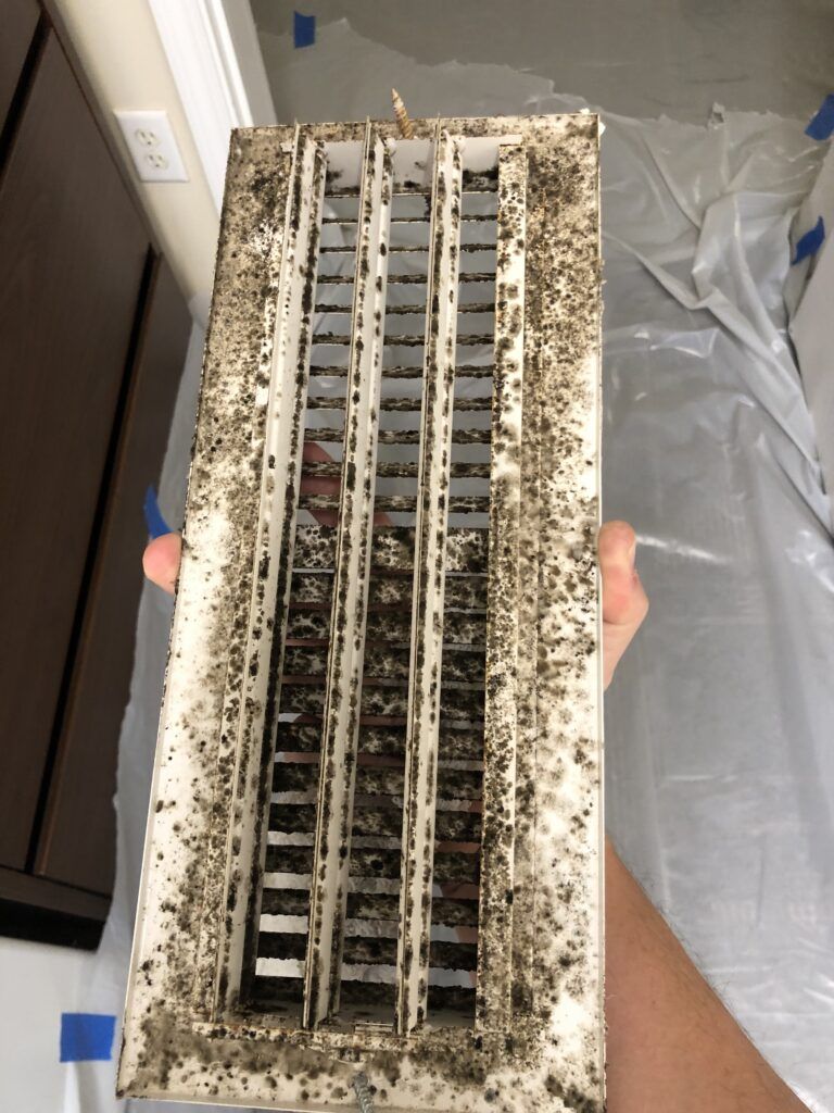 Professional mold testing and inspection in a Wilmington home