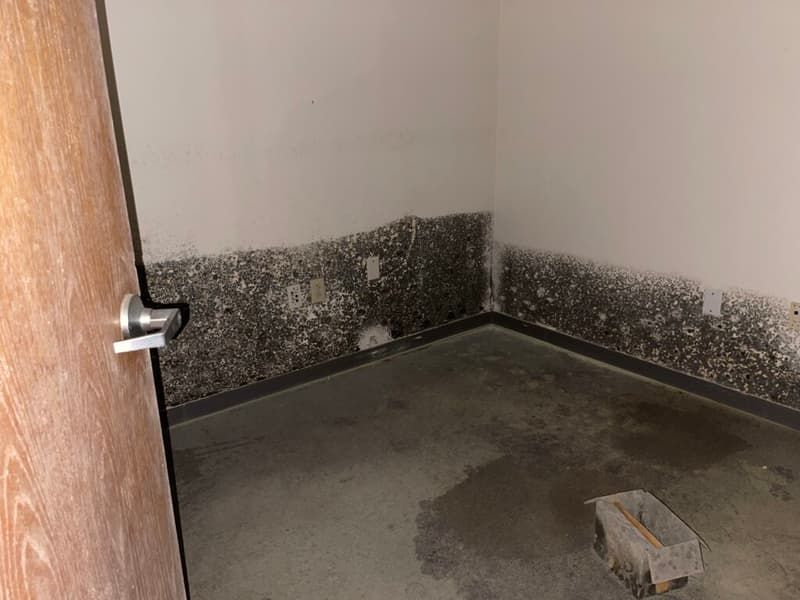 Severe mold contamination covering walls and floor of a room with standing water damage in Wilmington NC