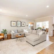 Professional carpet cleaning in a pet-friendly Wilmington home