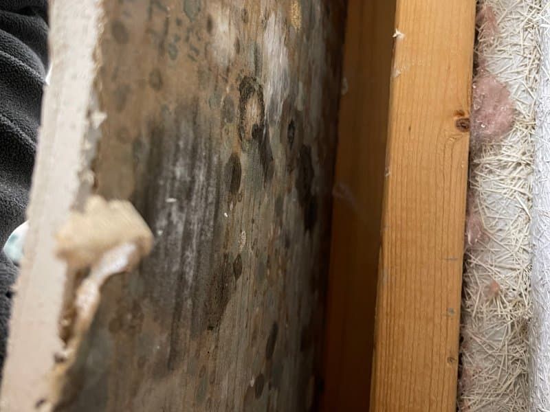 Water damage restoration