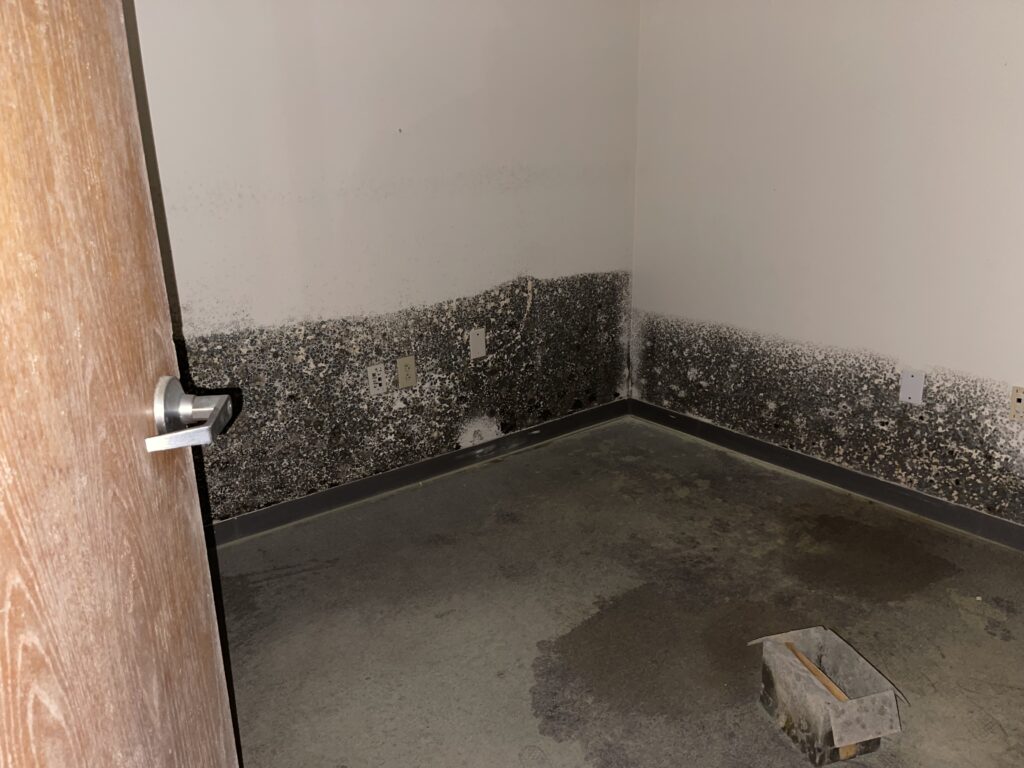 Mold Damage